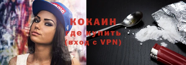 крисы Бородино