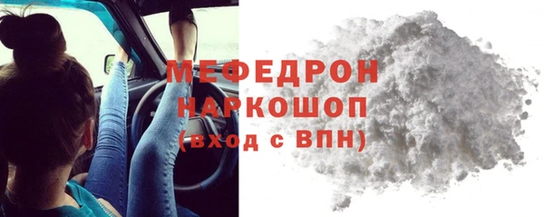 крисы Бородино