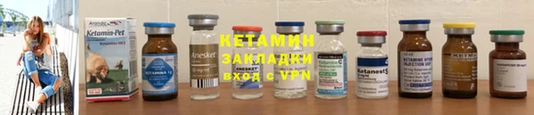 крисы Бородино