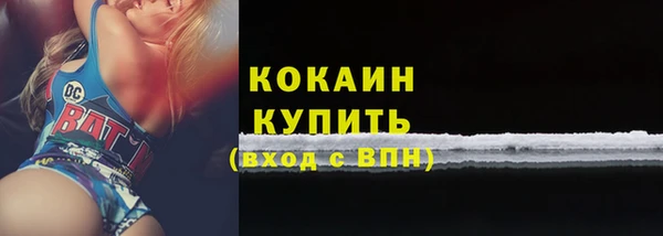 крисы Бородино