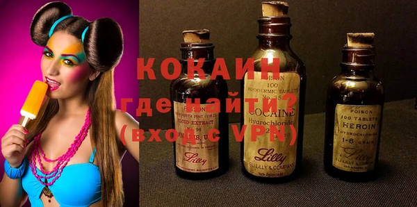 крисы Бородино