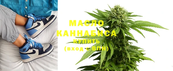 крисы Бородино